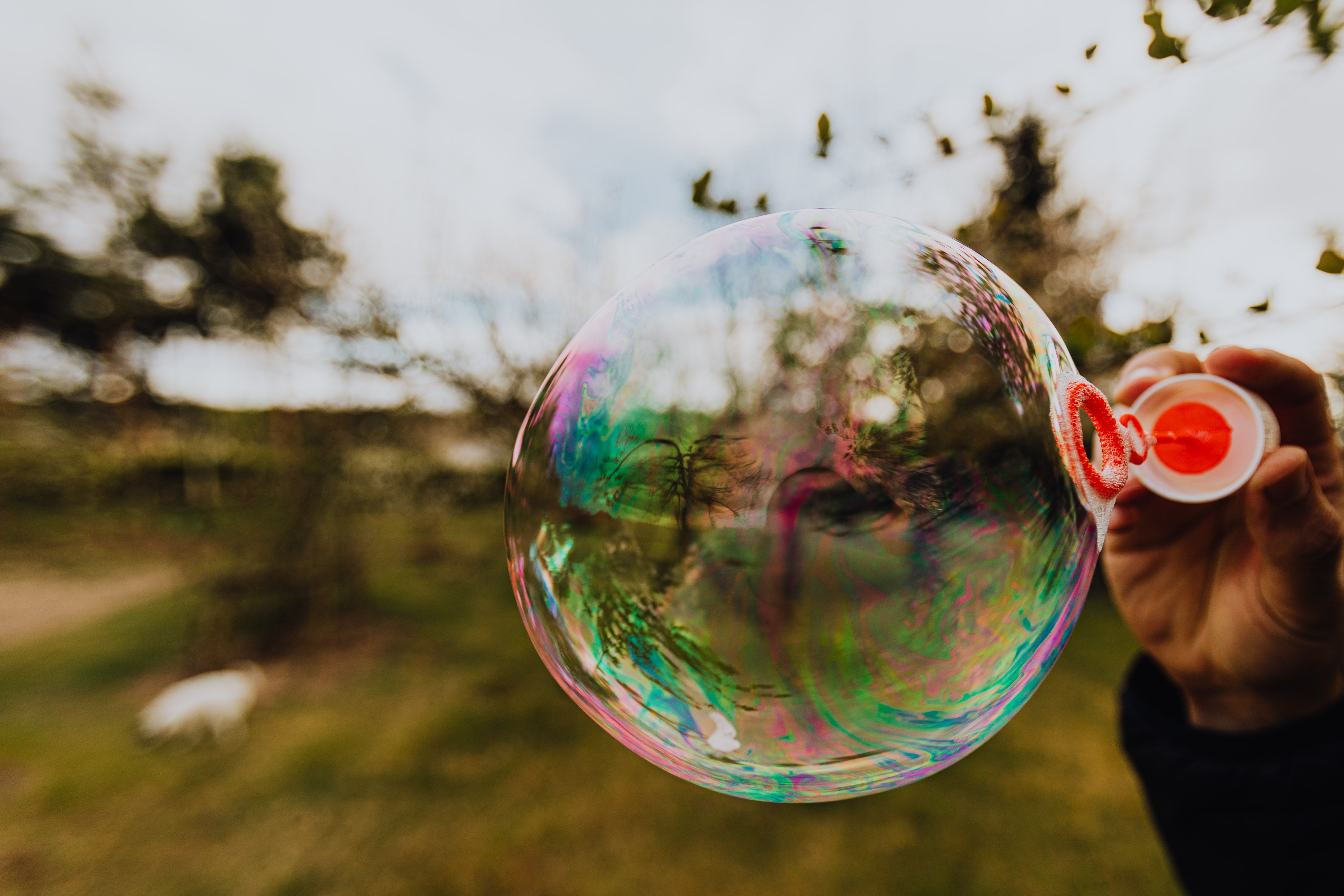 Reading between the Lines: How to Spot a Bubble Using Market Data