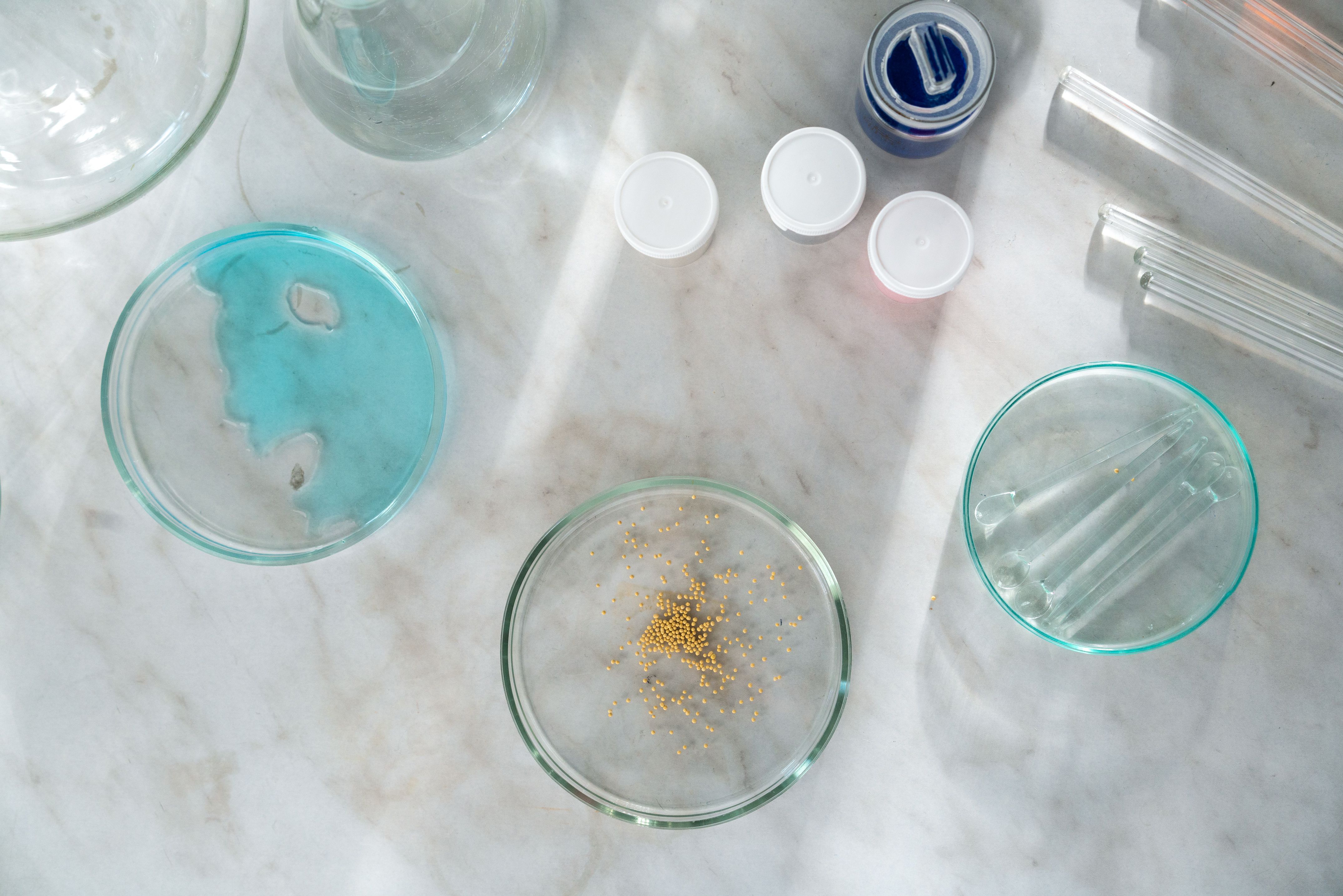 How the EU Packaging and Packaging Waste Regulation (PPWR) Is Accelerating Demand for Biopolymers across Europe