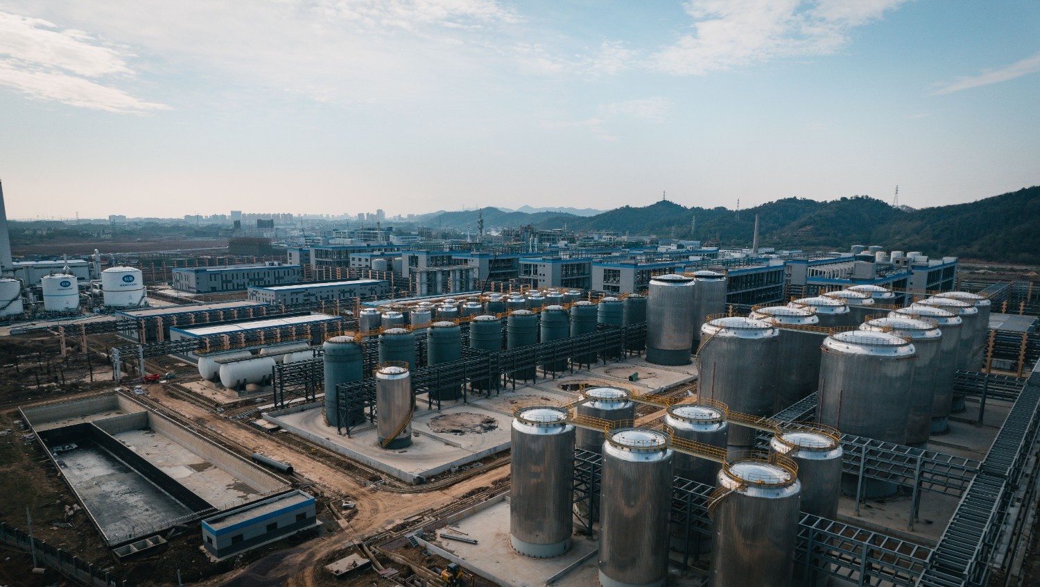 The Green Premium: Willingness-to-Pay for Green Hydrogen Across the Europe Green Hydrogen Market