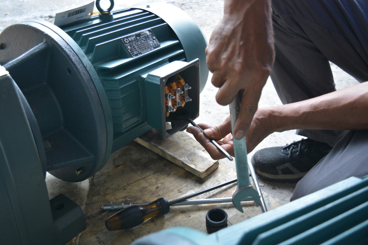 What Buyers Really Want: A Conjoint Analysis of the Japan Electric Motor Market