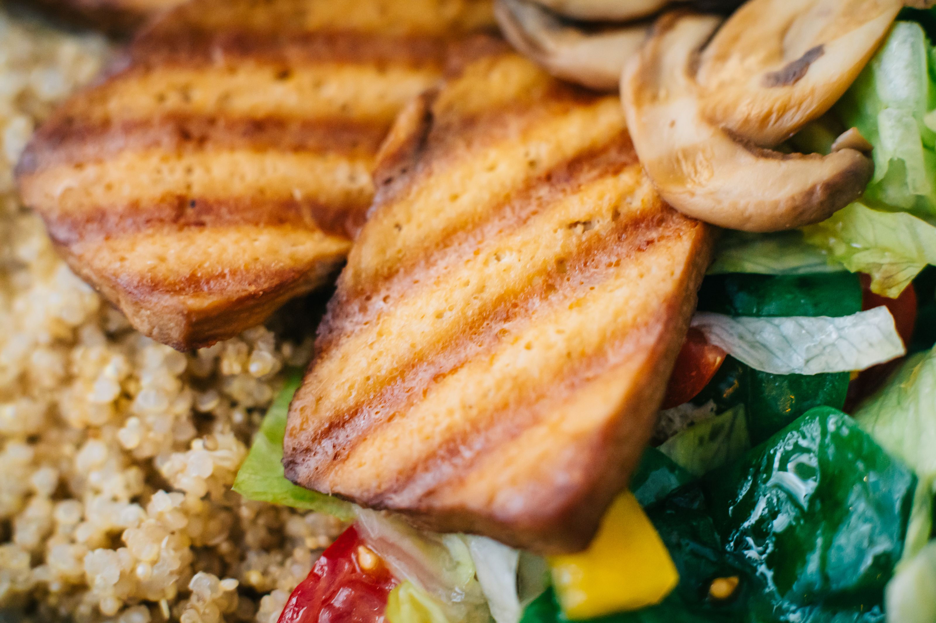 Beyond Plant-Based: The Next Evolution of Protein Innovation