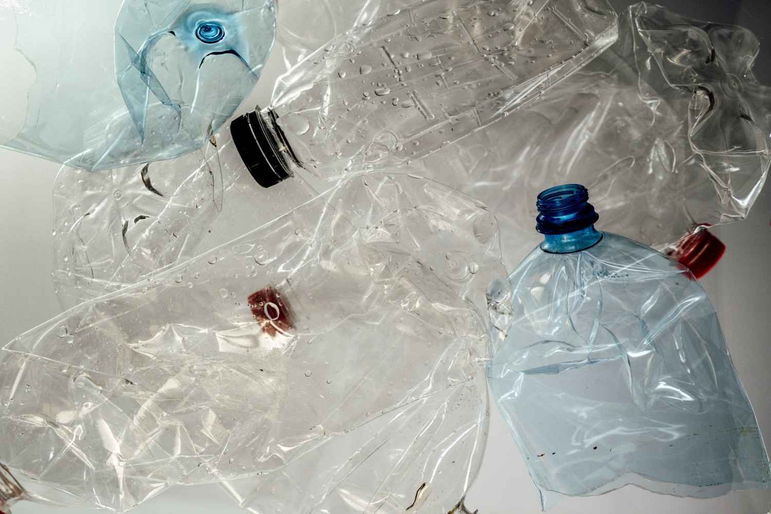 Sustainable Materials Replacing Traditional Plastics