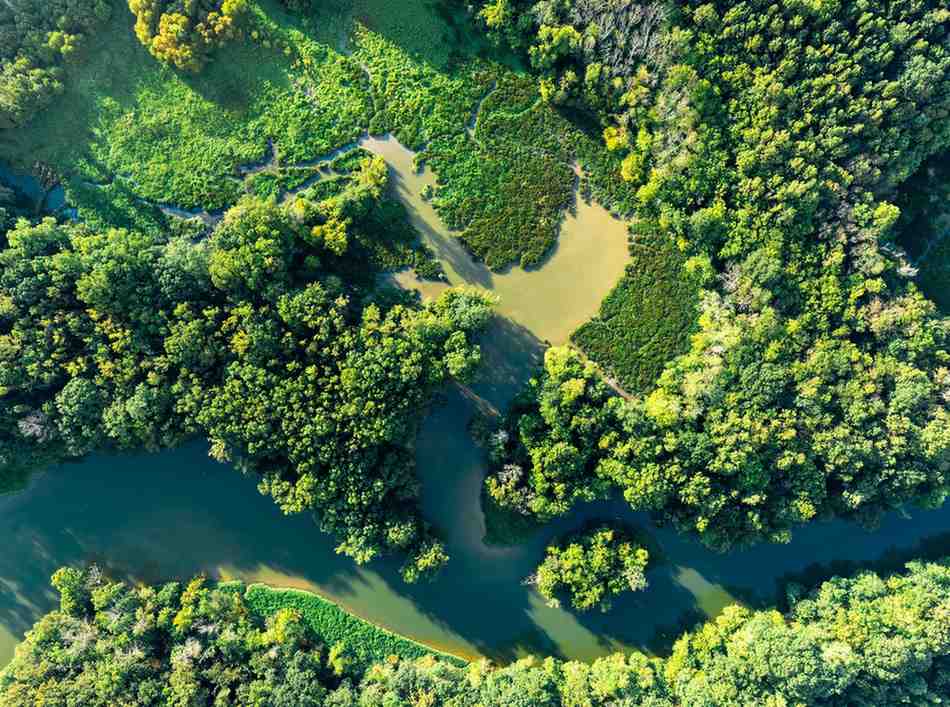 ESG Trends That Are Influencing Corporate Investment Decisions