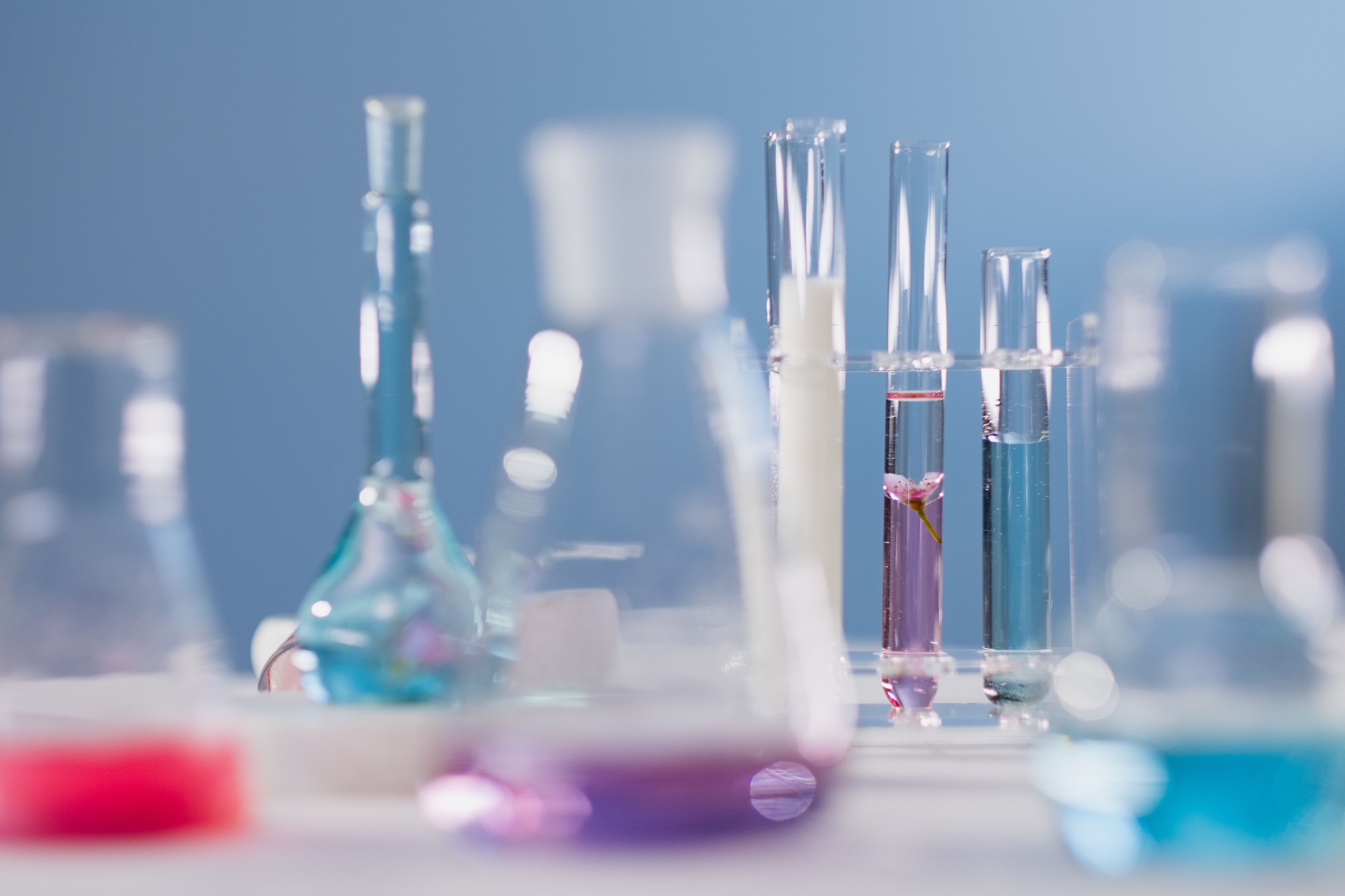 Japan Specialty Chemicals Market: Role of Specialty Polymers and Functional Materials in Next-Generation Industries