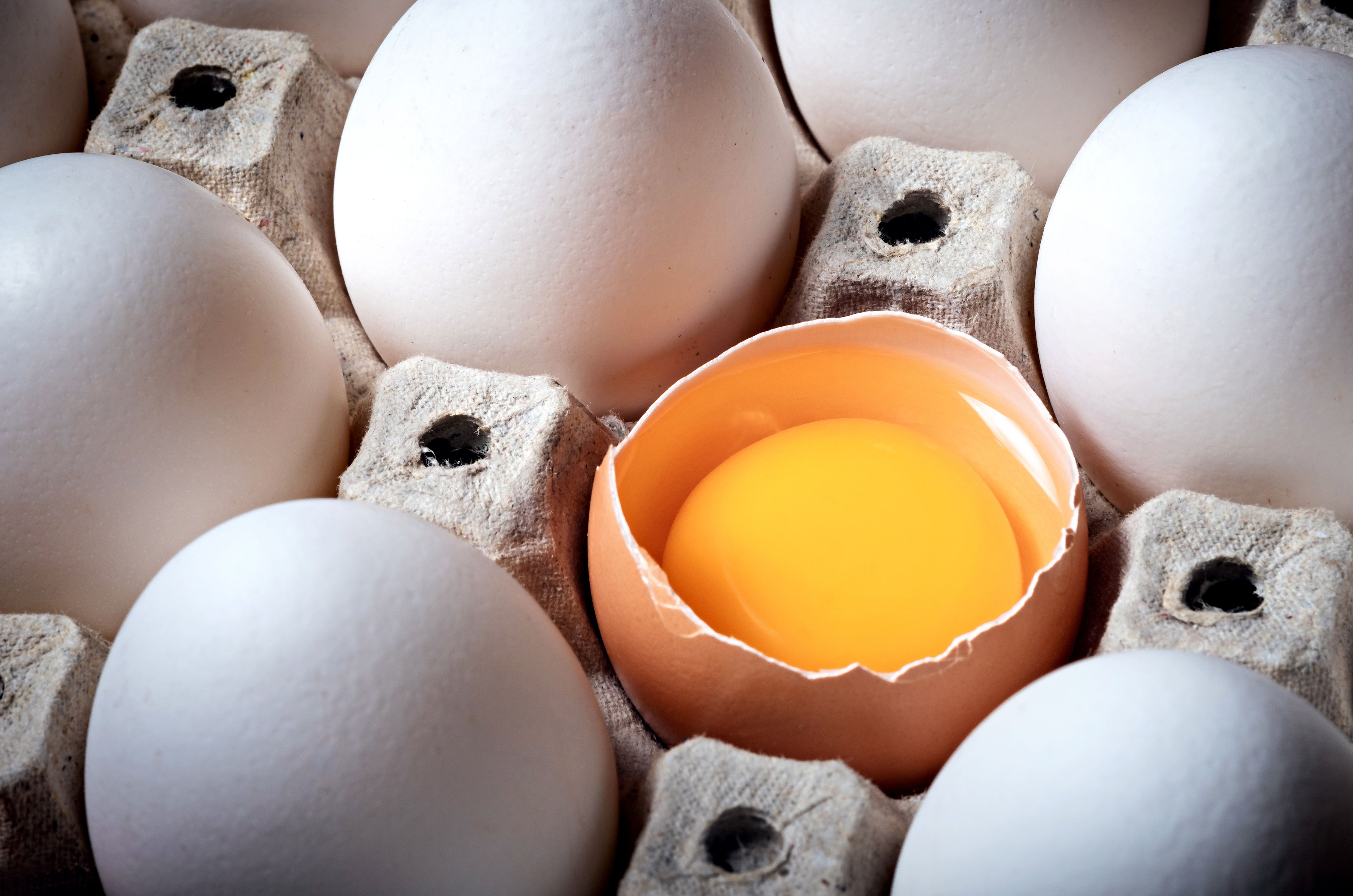 Changing Consumer Preferences Are Reshaping the U.S. Protein Ingredients Market
