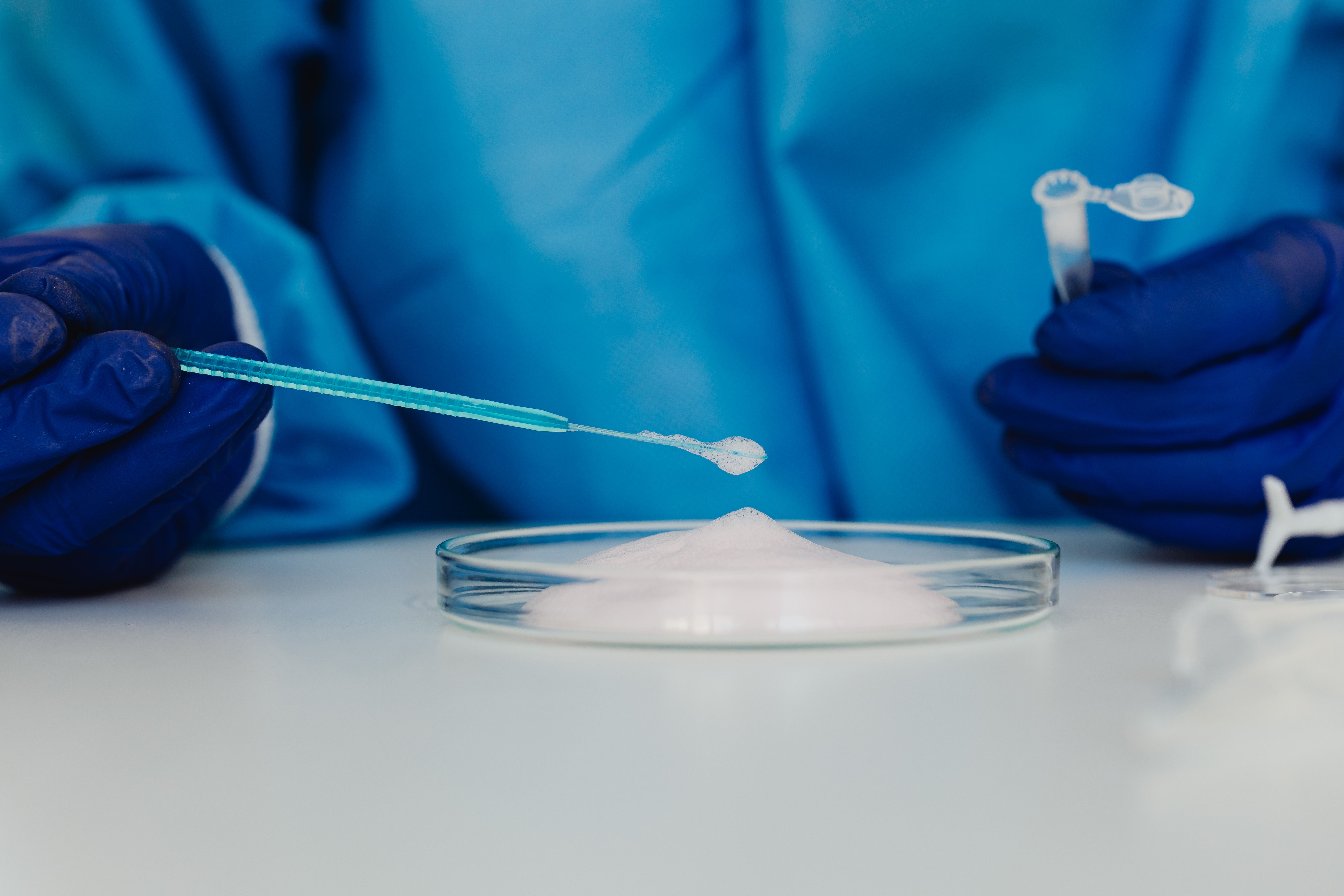 How Sustainable Textile Fibers Are Creating New Growth Opportunities in the Europe Biopolymers Market