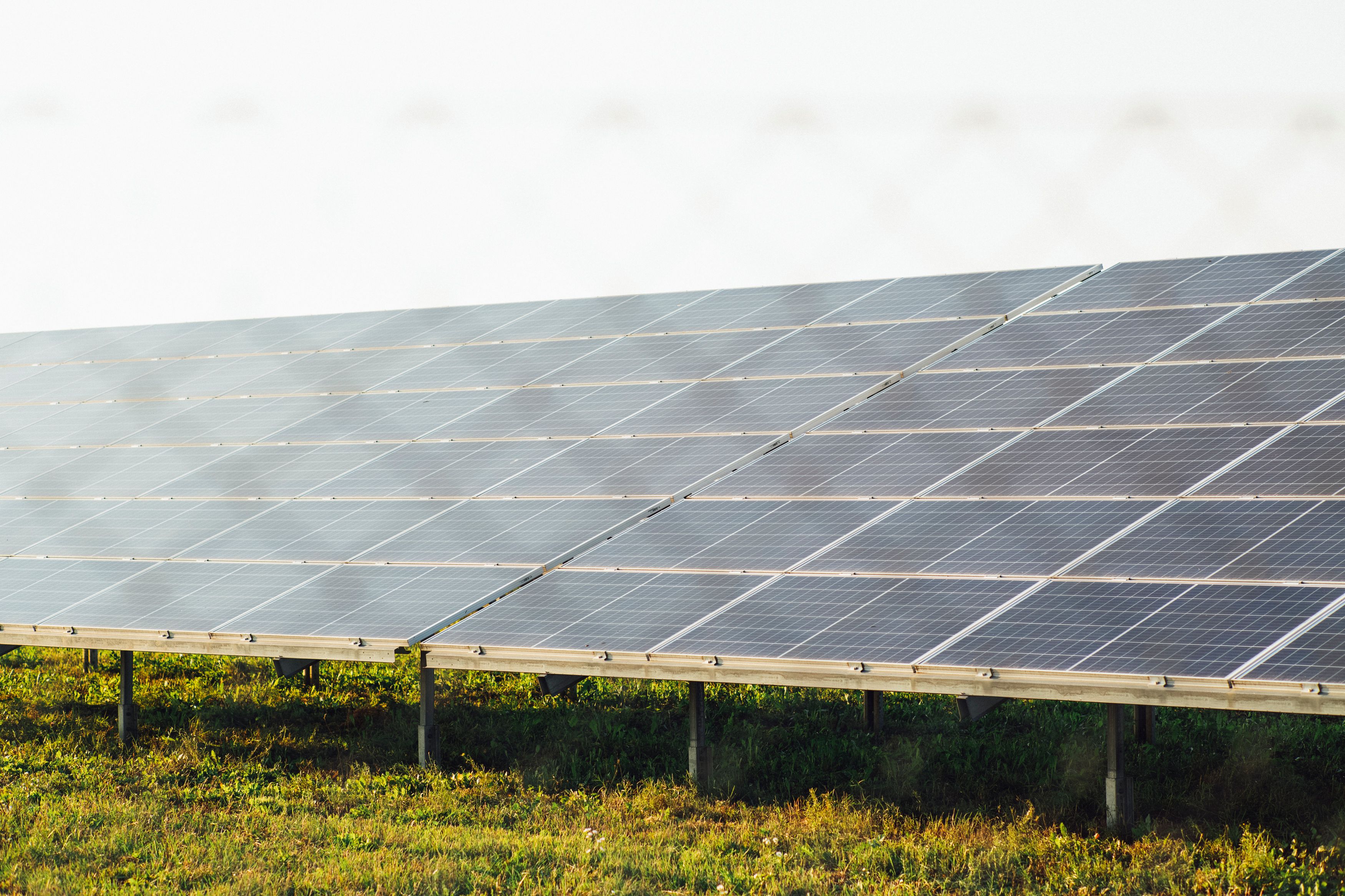 Global Solar Module Prices Firm Up as Policy Intervention Overrides Deep Oversupply