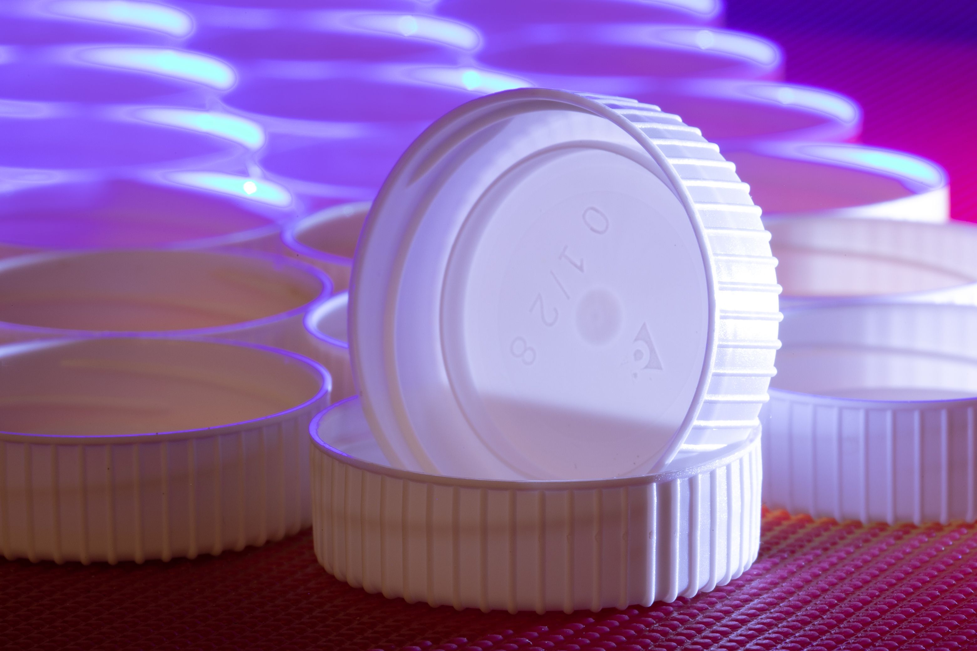 Epignosis Insights Releases Global HDPE Price Tracker Covering the 2026 Middle East Supply Shock