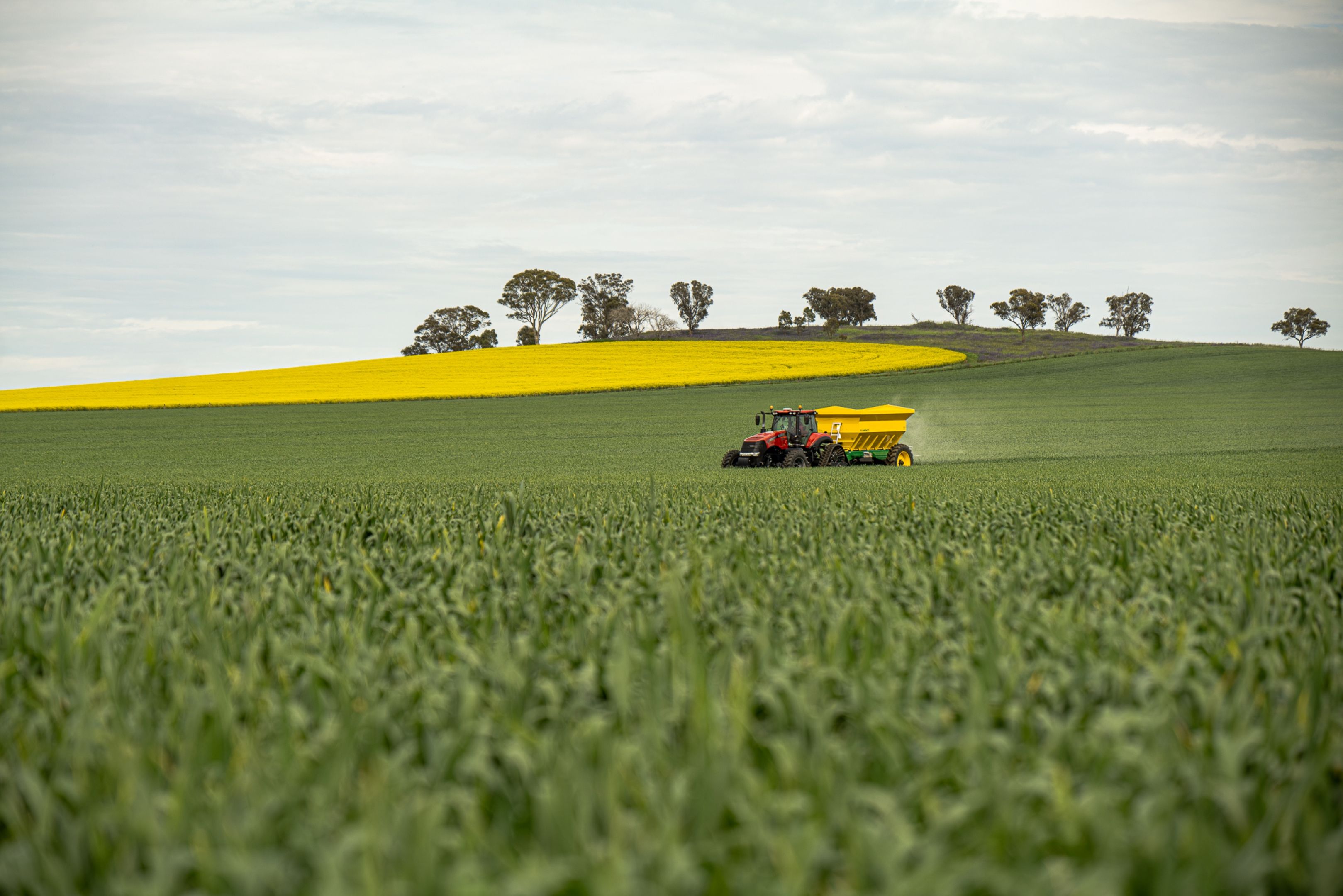 Europe Fertilizer Price Tracker September 2026 – Website Press Release
